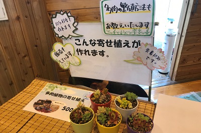 taniku1